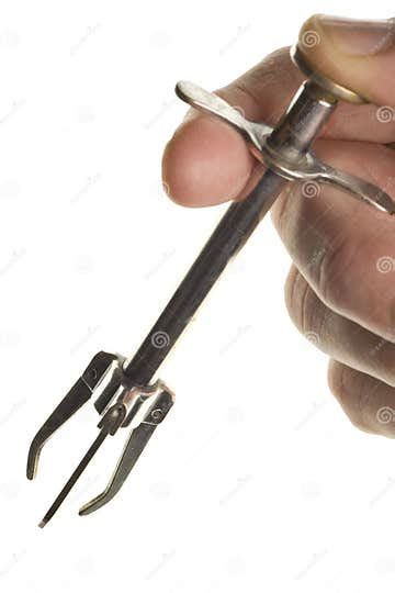 Antique Olive Grabber With Hand Isolated Stock Photo Image Of Tool