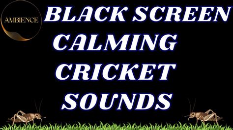 Calm Night Relaxing Cricket Sounds For Sleep Black Screen Ambience Youtube