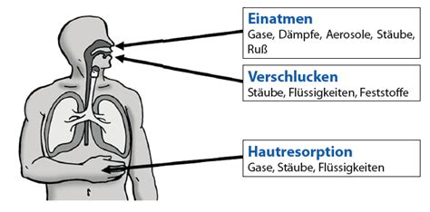 Unterweisung Umgang Mit Gefahrstoffen Unterweisung Plus