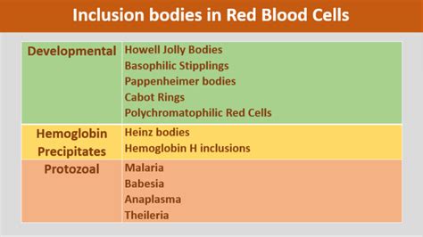 Inclusion bodies | Veterinary Science Hub