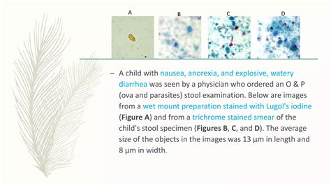 Parasiteology Giardia Lamblia Ppt