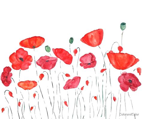 "red poppy field painting 2020 watercolor painting" by ColorandColor ...