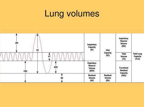 obstructive  restrictive respiratory diseases powerpoint