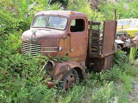 Ipernity 1942 Dodge Coe Truck By 1971 Dodge Charger Rt Freak