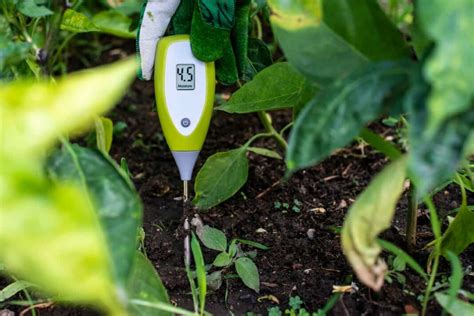 Importance Of Soil Moisture Sensors In Agriculture Advantages And