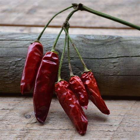 Peperoncino Come Coltivare Il Peperoncino In Casa Esperienze