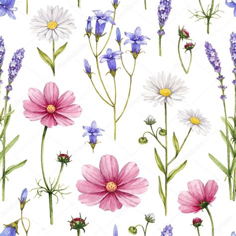 Wild Flowers Illustration Watercolor Seamless Pattern Stock Photo By