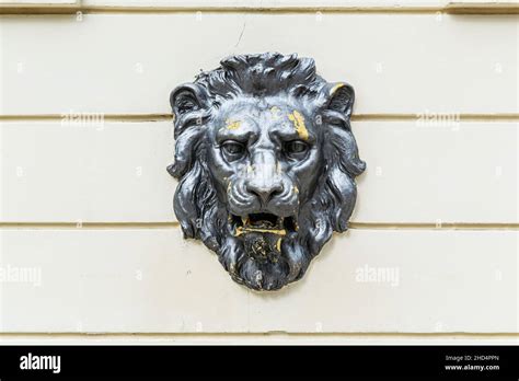 Metal Lion Head On The Wall Building Decoration Stock Photo Alamy