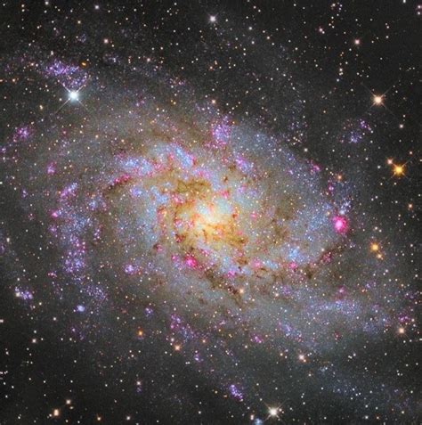 Triangulum Galaxy - Alchetron, The Free Social Encyclopedia