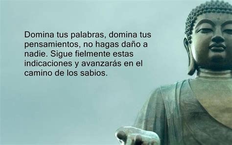 25 Frases De Buda NO 25 Lecciones Para Toda La Vida Taringa Wise