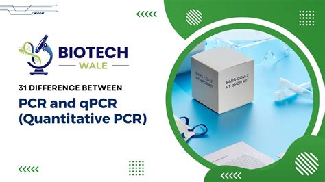 Difference Between Pcr And Qpcr Quantitative Pcr