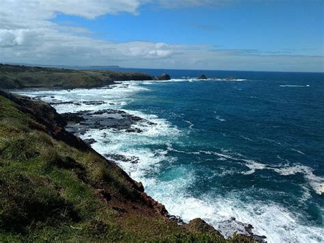 Ventnor, Australia: All You Must Know Before You Go (2024) - Tripadvisor