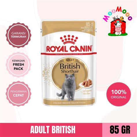 Jual Royal Canin Adult British Shorthair Sachet Gr Makanan Kucing