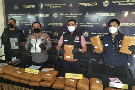 Polisi Gagalkan Peredaran Ganja Bermodus Truk Limbah Antara News