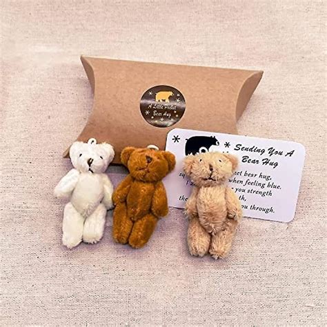 2023 New A Little Pocket Bear Hug Mini Plush Stuffed Bears Animals Doll