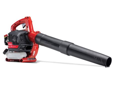 Craftsman Cmxgaamr25bl B210 Leaf Blower Consumer Reports