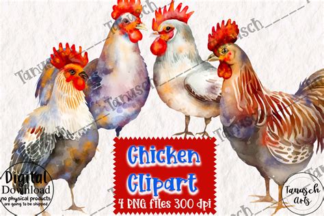 Watercolor Chicken Clipart Part Graphic By Tanuscharts Creative Fabrica