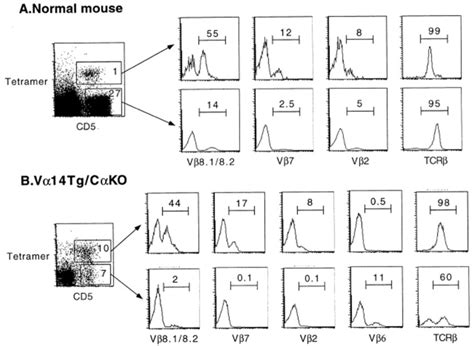 Cd D Galcer Tetramer Cells Exhibit Intermediate Levels Of Surface