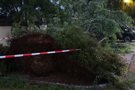 Gewitterfront Heftiges Unwetter sorgte für rund 330 Einsätze der