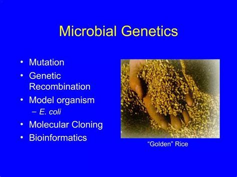 Ppt Microbial Genetics Powerpoint Presentation Free Download Id 434961