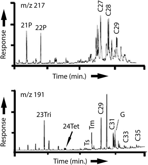 Ion Chromatogram Of Steranes M Z 217 And Terpanes M Z 191 In