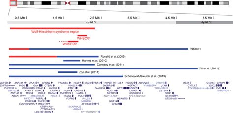 Duplication of the Wolf-Hirschhorn region in patient 1. Map of ...