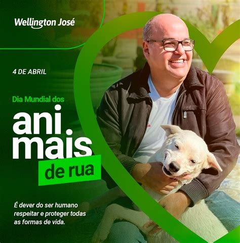 Número De Animais Abandonados Alcança Uma Estatística Alarmante Deputado Wellington José