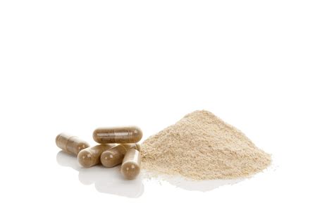 Turkey Tail Mushroom Capsules - RYZE Superfoods