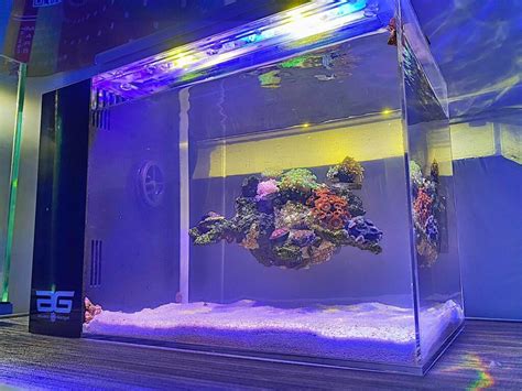 Oceanexus Magnetic Rock Is Perfect For Creating Floating Reefscapes