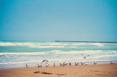 Playa Miramar, Tampico, Tamaulipas, México. Miramar, Places Ive Been, Alexa, Wallpaper, Beach ...