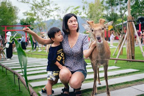 宜蘭親子景點～張美阿嬷農場，與小鹿斑比近距離約會！ Yahoo奇摩旅遊