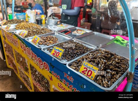 Phuket Thailand 17 December 2020 Fried Edible Insects For Sale At Chillva Market A Walking