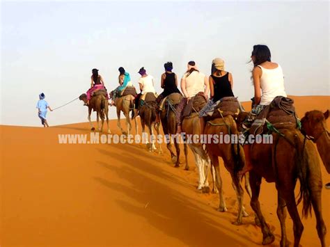 Camel Trekking in Merzouga - Overnight Desert Camp