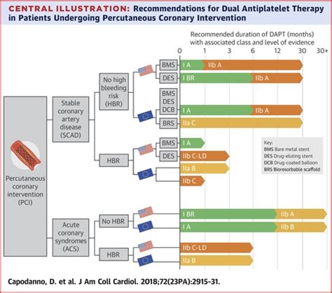 Acc Aha Versus Esc Guidelines On Dual Antiplatelet Therapy Jacc