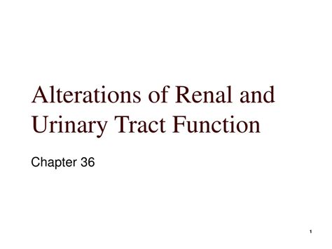 Ppt Alterations Of Renal And Urinary Tract Function Powerpoint