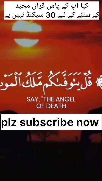 Recitation Of The Holy Quran Youtube