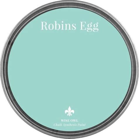 Robins Egg Blue Paint Color: A Timeless Classic - Paint Colors