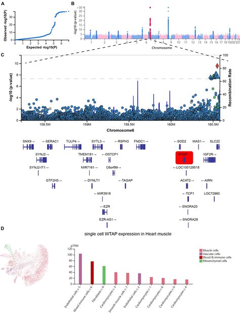 Frontiers Comprehensive Analysis Of N6 Methyladenosine Rna