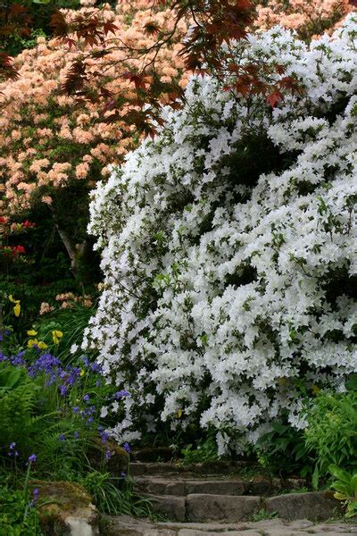 Scotney Castle Garden