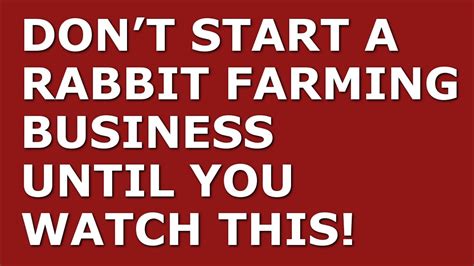 How To Start A Rabbit Farming Business Free Rabbit Farming Business