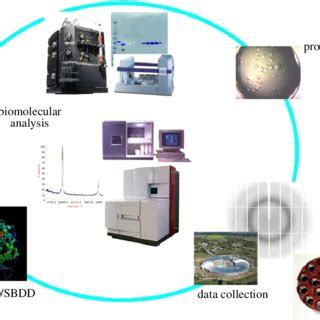 Schematic Of Macromolecular Crystallography Cycle Highlighting The