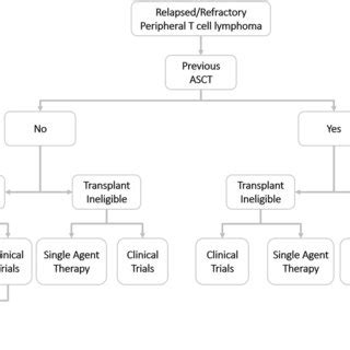 Treatment Algorithm For Relapsed Refractory Peripheral T Cell Lymphoma