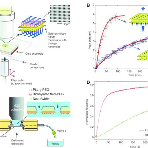 Flow Through Nanoplasmonic Sensing A C Schematic Illustrations Of Download Scientific