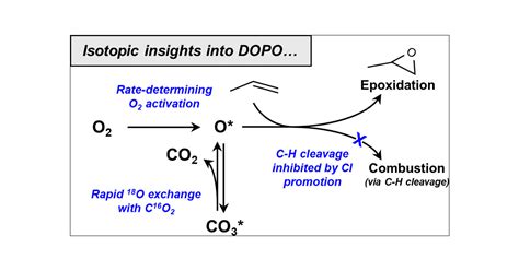 Isotopic Studies Of Reaction Pathways Within Propylene Epoxidation Over