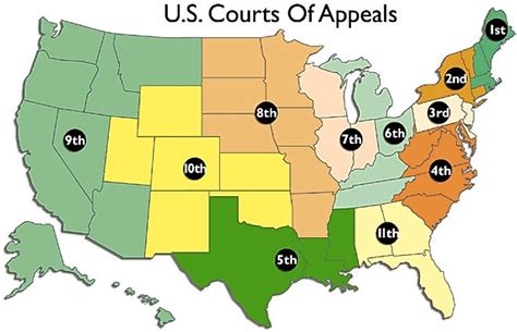 Federal Court Appeal Timeline - prntbl.concejomunicipaldechinu.gov.co