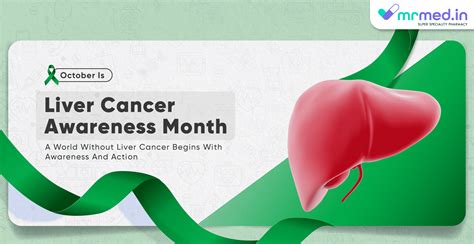 Let Us Learn About Liver Cancer Awareness Month Mrmed