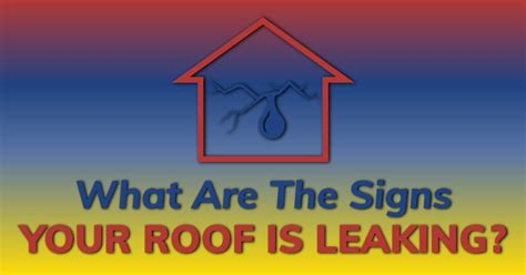 What Are The Signs Your Roof Is Leaking Alans Roofing Brookings