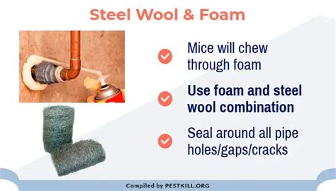 Best Steel Wool for Mice - PestControlFacts.com