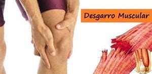 Rotura De Fibras O Desgarro Muscular Tratamiento Ejercicios Y