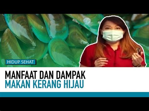 Manfaat Kerang Hijau Yang Jarang Diketahui Harus Anda Tahu